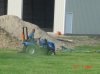 DSC01564.jpg
