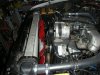 cummins2 002.JPG