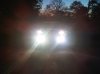 IMG00065-20100401-1936.jpg