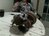 dmans 019.jpg