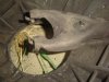 clutch parts 004.jpg