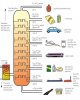 Fractional_distillation.jpg