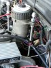 FTB FM raised on rods DS-small.jpg