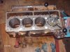Picture 2010 003.jpg