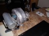 DSC01029.jpg