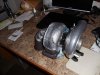 DSC01028.jpg