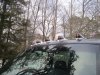 IMG_0159.jpg