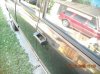 1996blacktruck 012.jpg 1996blacktruck 012.jpg