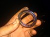 IMG_20110510_211238.jpg