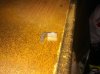 IMG_20110615_172307.jpg IMG_20110615_172307.jpg