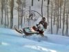 07 Sled.jpg
