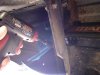 DSC02595.jpg