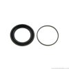 caliper seals.jpg