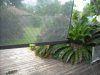 DSCN3488.JPG