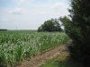 6-29-12 Storm.jpg