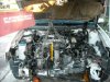 DSCN3627.JPG DSCN3627.JPG