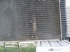 radiator before cleaning.jpg