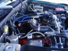 DSC02442.jpg