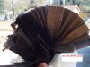 6.5 gutted fuel filter-2.jpg
