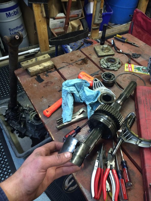 IMG950201.jpg IMG950201.jpg