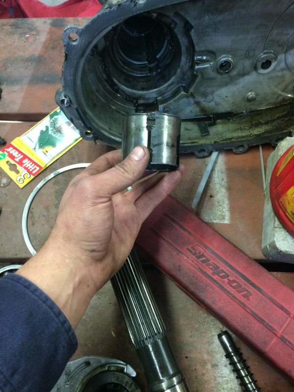 IMG950200.jpg IMG950200.jpg