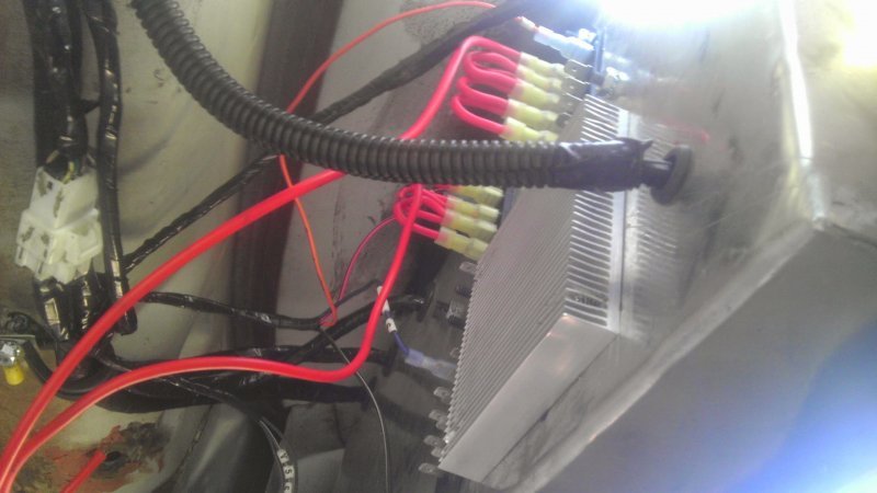 IMAG0248.jpg IMAG0248.jpg