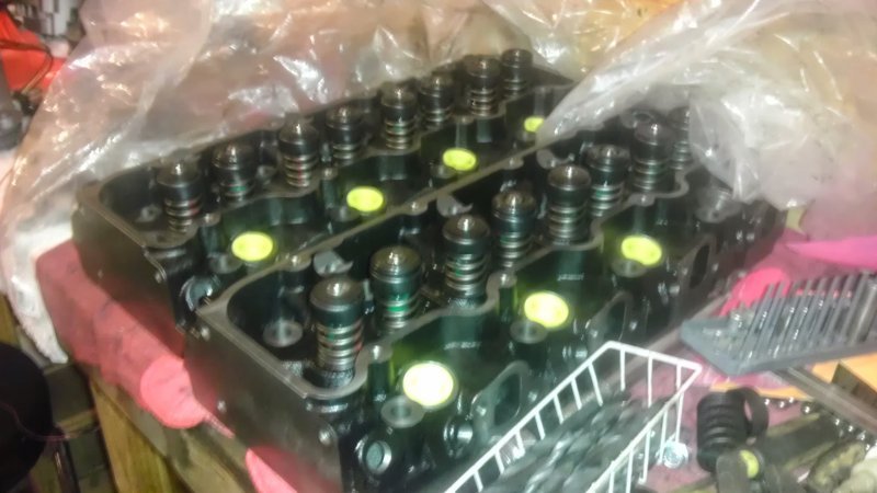 IMAG0258.jpg IMAG0258.jpg