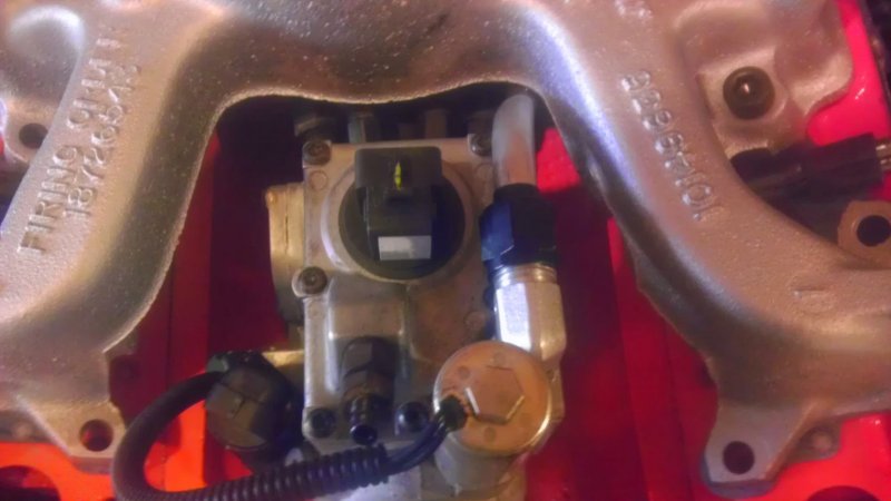 IMAG0279.jpg IMAG0279.jpg