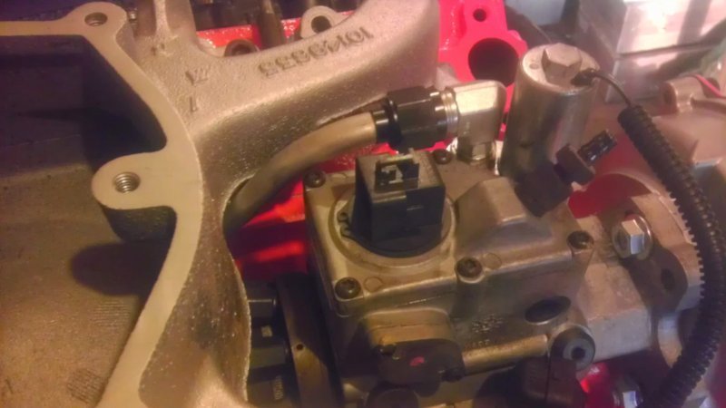 IMAG0280.jpg IMAG0280.jpg