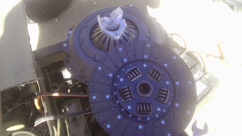 IMAG0345.jpg IMAG0345.jpg