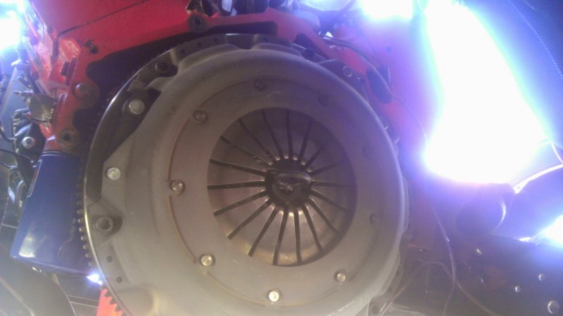 IMAG0360.jpg IMAG0360.jpg