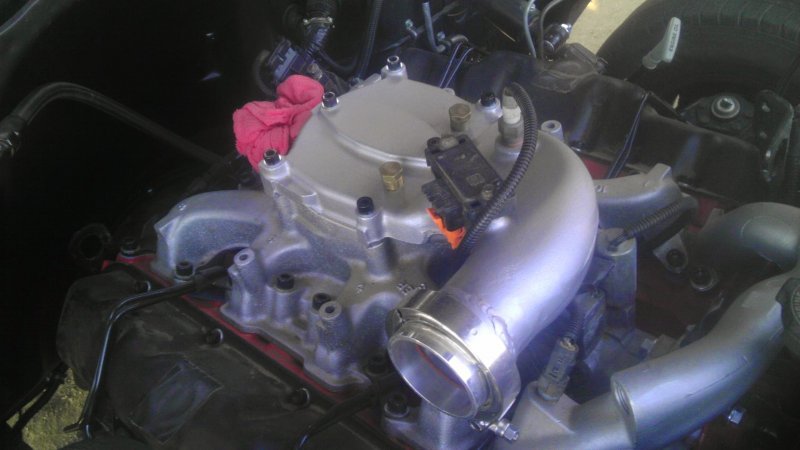 IMAG0378.jpg IMAG0378.jpg