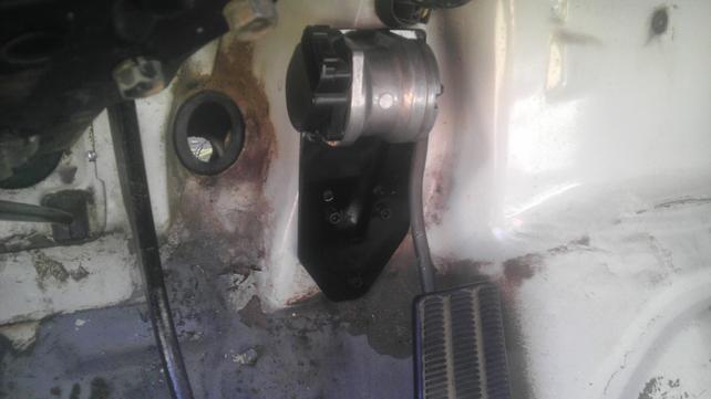 IMAG0219.jpg IMAG0219.jpg