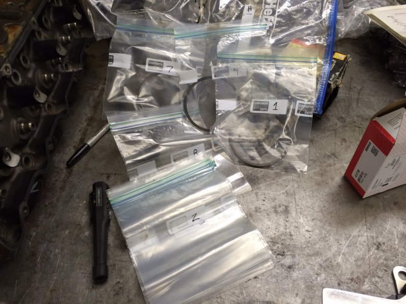 RINGS3.jpg RINGS3.jpg