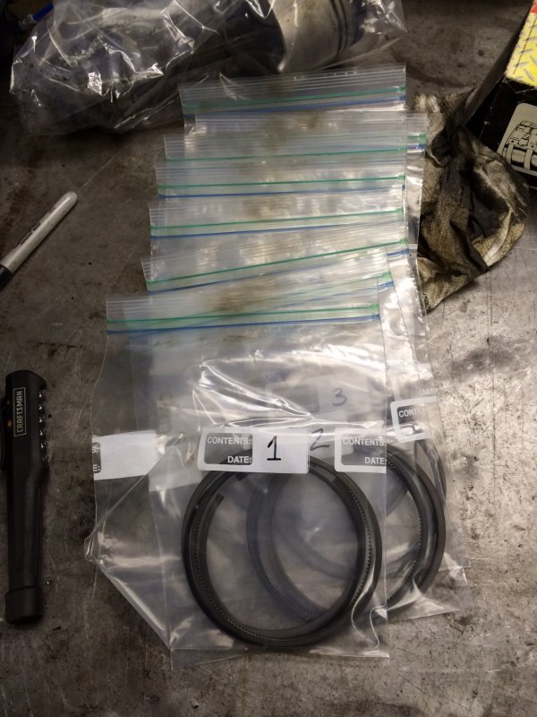 RINGS4.jpg RINGS4.jpg