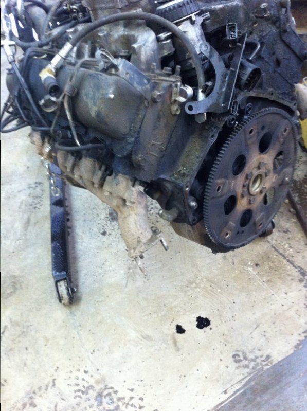 IMG_0468.JPG IMG_0468.JPG