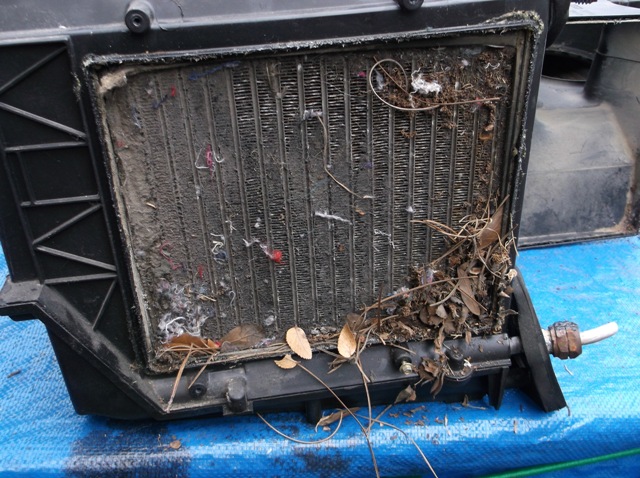 DSCF2117.JPG DSCF2117.JPG