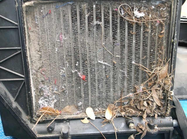 DSCF2118.JPG DSCF2118.JPG