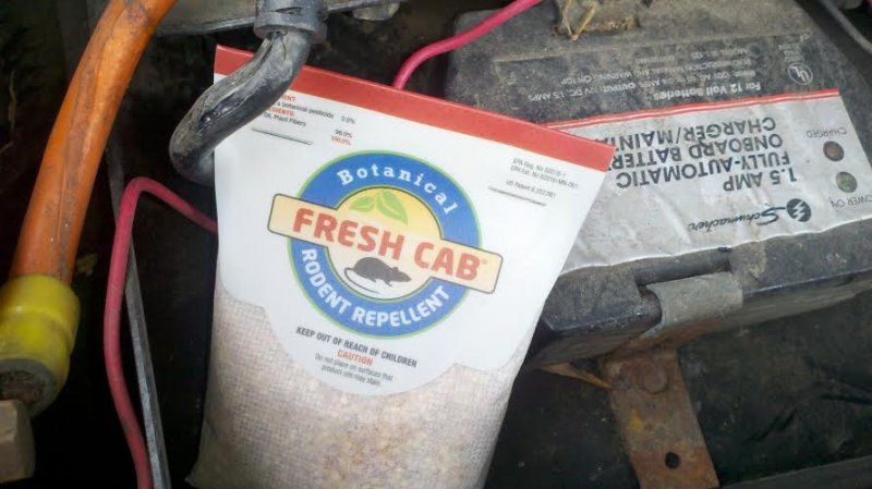 freshcab.jpg