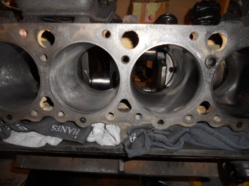 DSCN2951.JPG DSCN2951.JPG