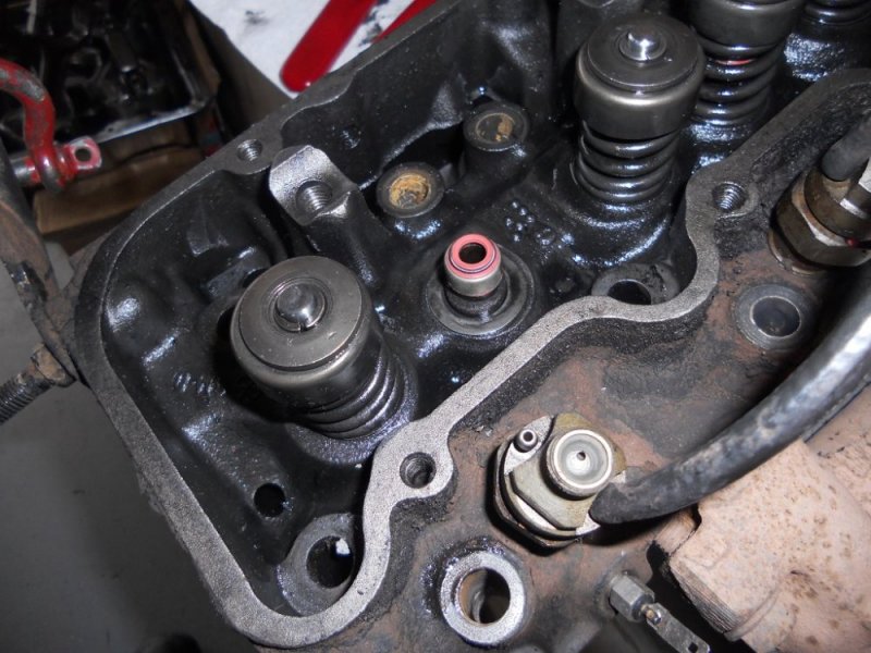 DSCN3130.JPG DSCN3130.JPG