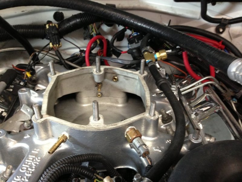 IMG_1801-s.jpg IMG_1801-s.jpg