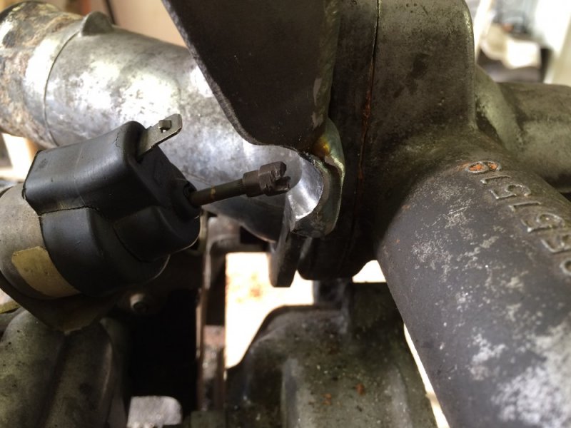 image.jpeg image.jpeg