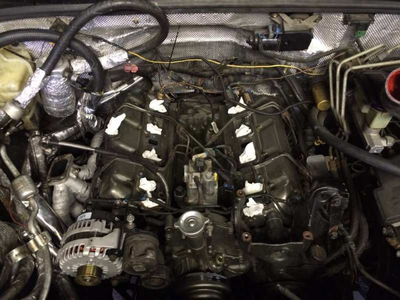 image.jpeg image.jpeg