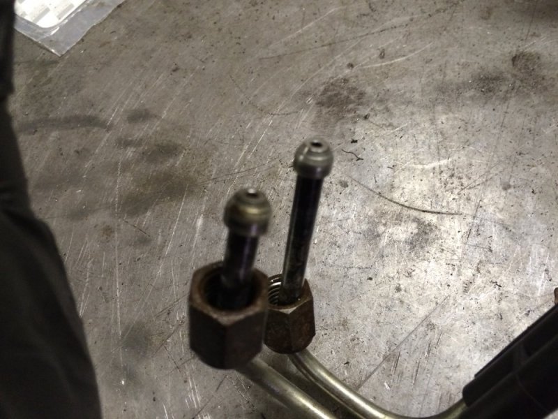 image.jpeg image.jpeg