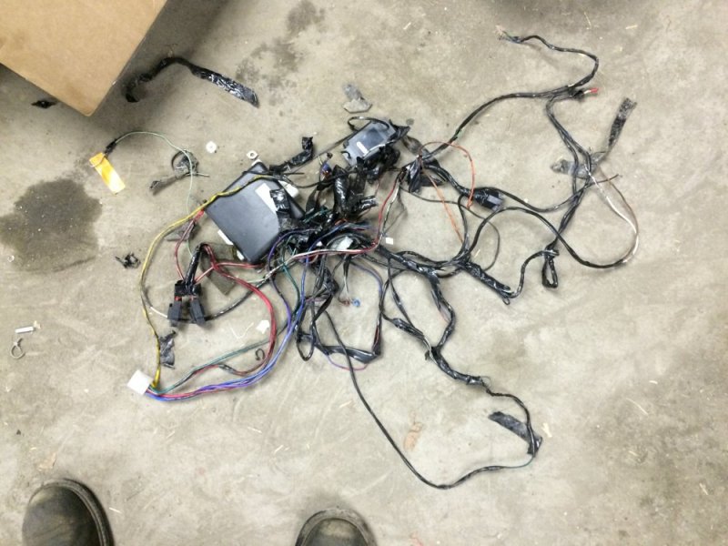 image.jpeg image.jpeg