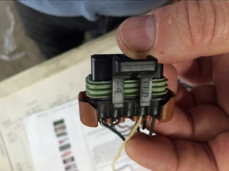 image.jpeg image.jpeg