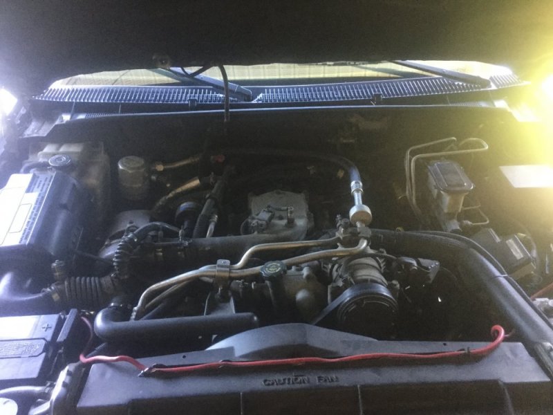 image.jpeg image.jpeg