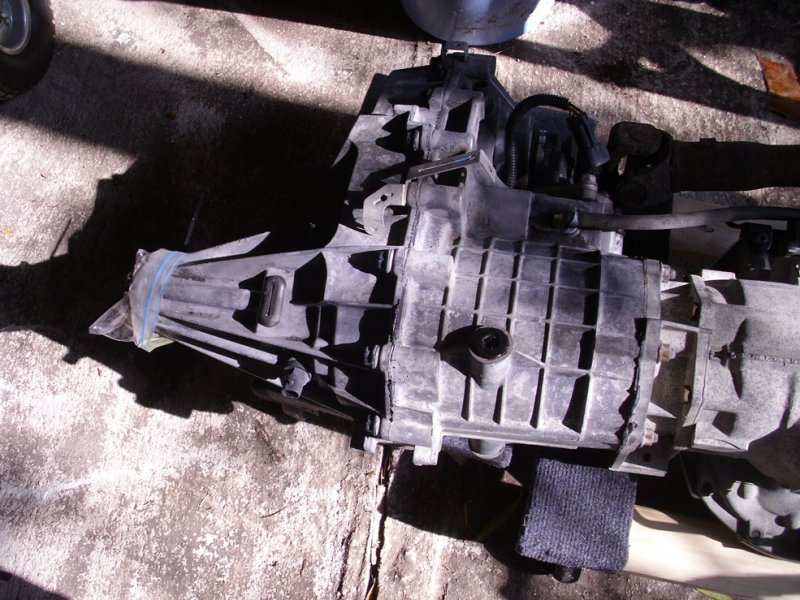 DSCI0003.JPG DSCI0003.JPG