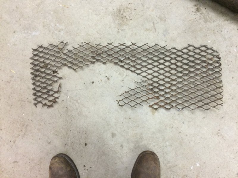 IMG_7417.JPG IMG_7417.JPG